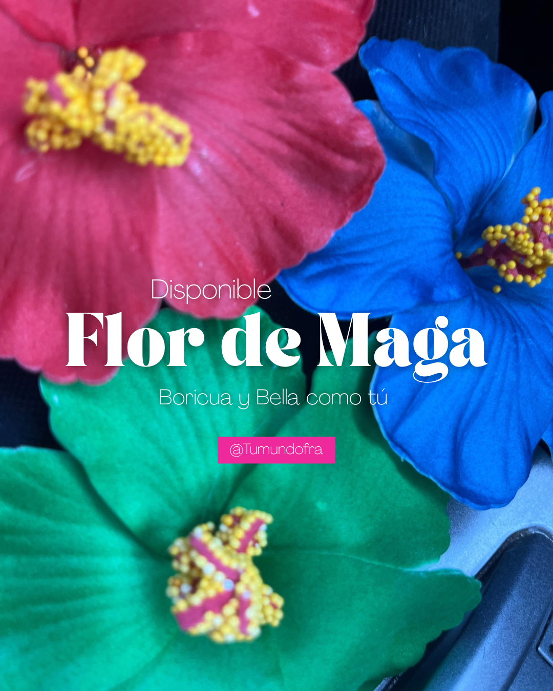 Flor de maga