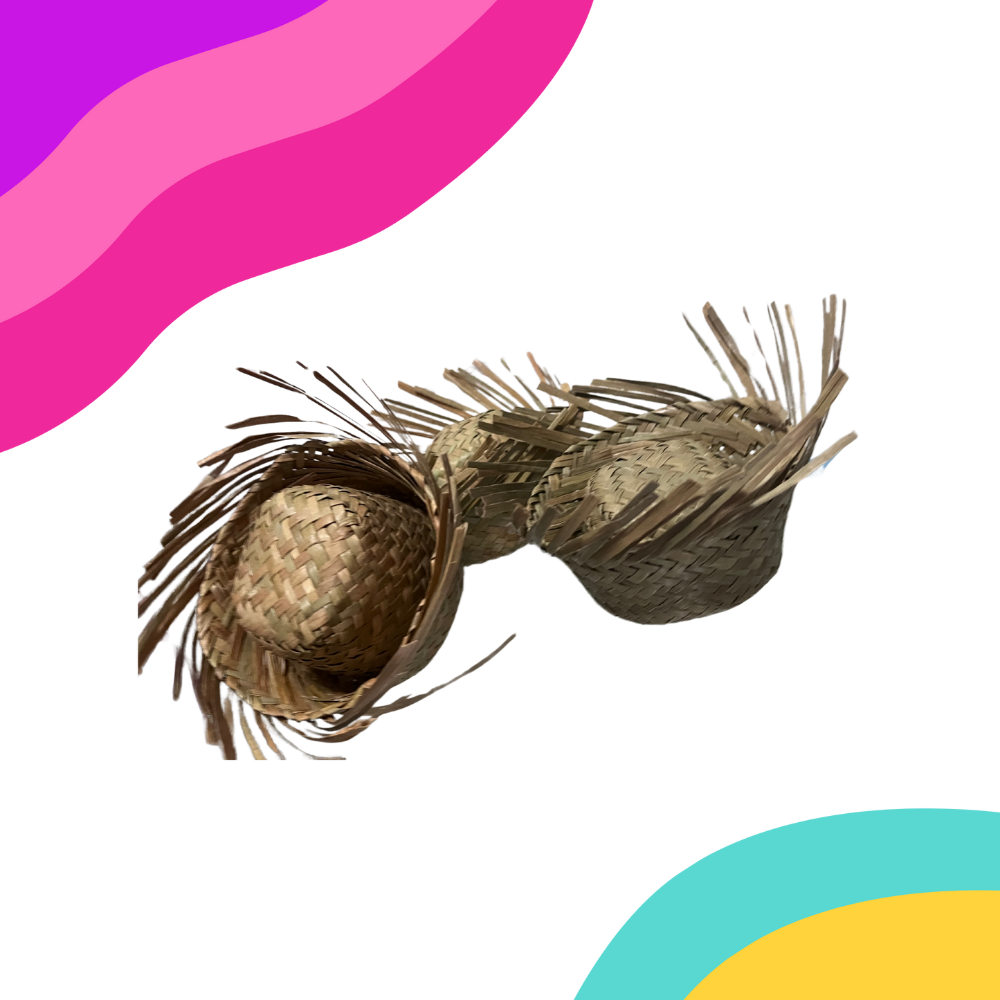 Mini Pava