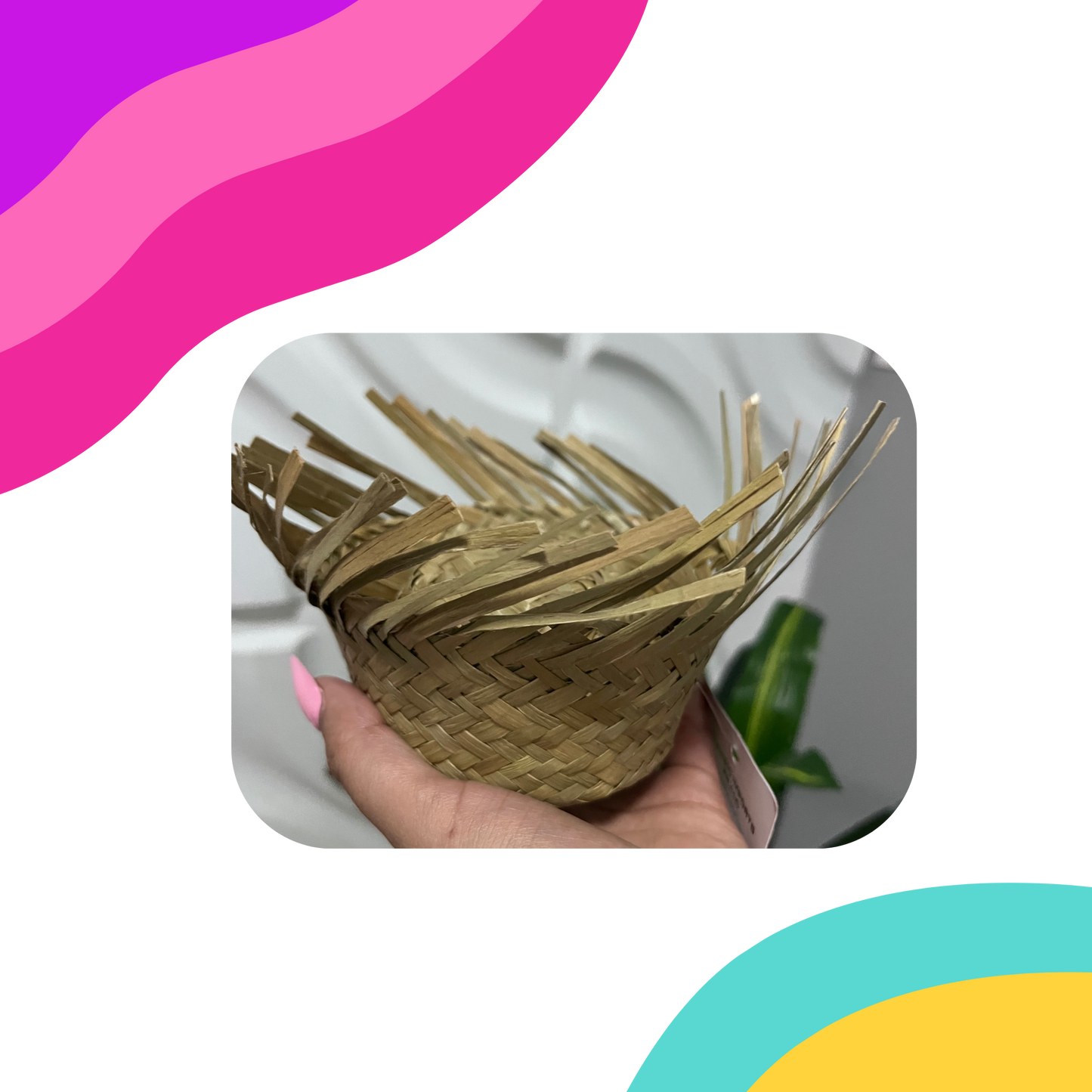 Mini Pava