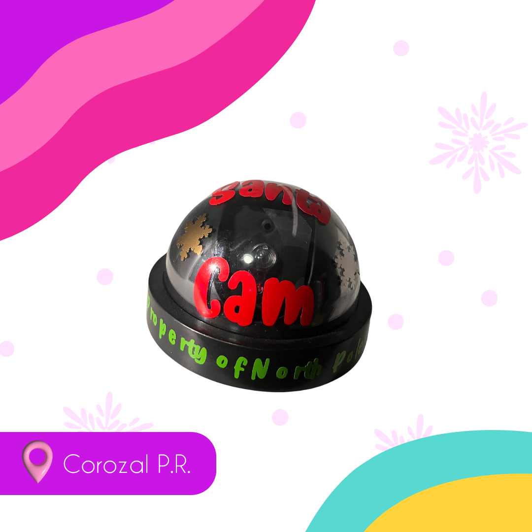 Santa Cam